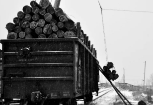 再見(jiàn)了電動(dòng)絞盤(pán)！你是林業(yè)工人的好伙伴